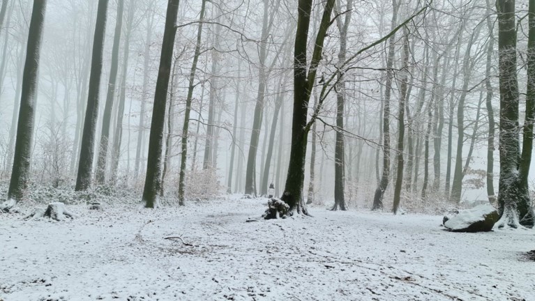 Video: Eindelijk sneeuw in hoogste delen van Limburg