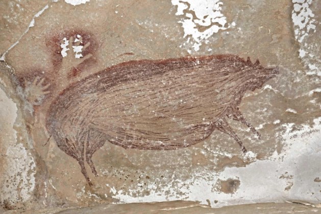 Het varken in een 45.000 jaar oude grot in Sulawesi is de oudste tekening die ooit is gevonden 