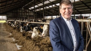 Nieuwe LTO-voorman Sjaak van der Tak: ‘Zomaar de veestapel verkleinen heeft geen zin’ 