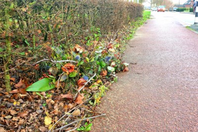 Ergens in Vlodrop: rode roos houdt 63 dagen zijn kleur om nabestaanden te troosten