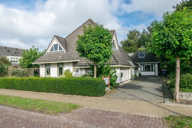 Houten huizen winnen aan populariteit: ‘Zolang je hout droog houdt, gaat het net zo lang mee als beton’