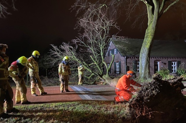 Onstuimige nacht: grote boom valt vlak langs huis - De Limburger