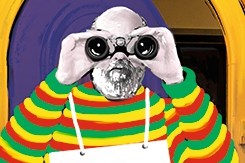 Deze keer was het Guus Urlings al heel snel duidelijk dat de warmloopfase voor carnaval niet echt op gang zou komen