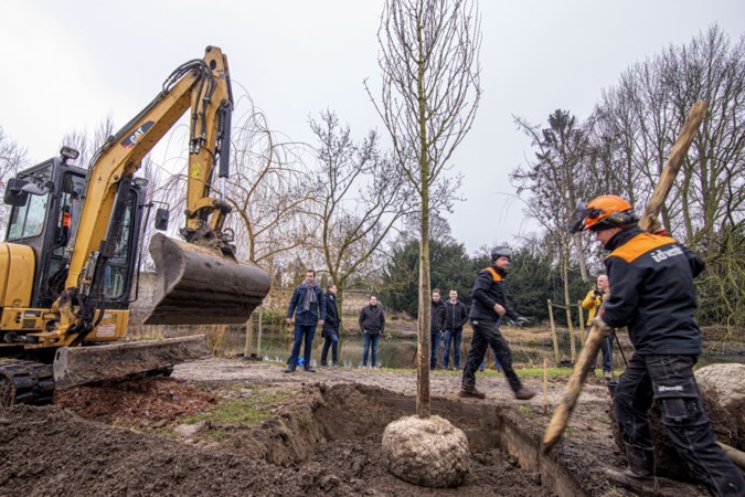 Eerste bomen voor vernieuwd Stadspark Weert geplant