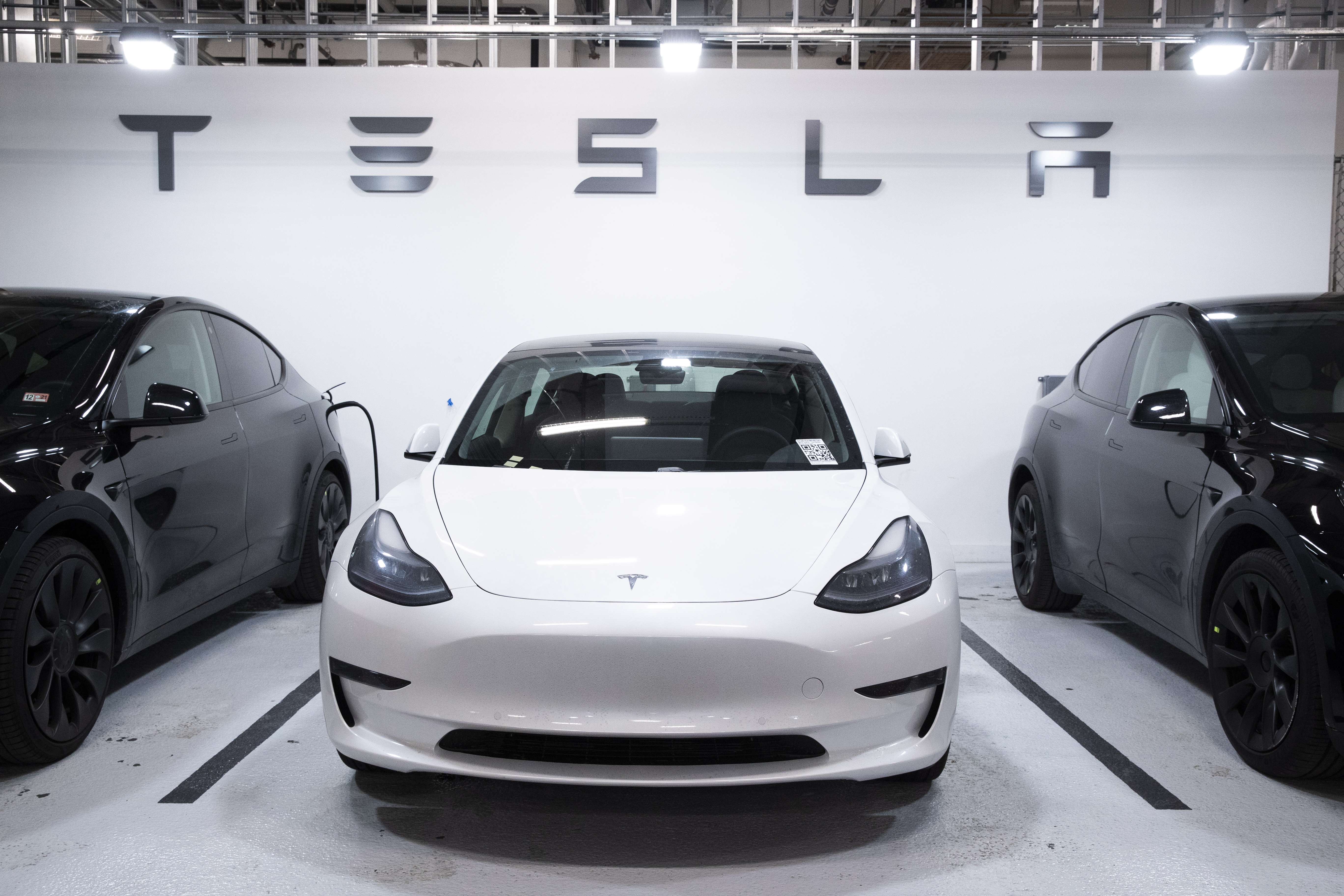 Merchandising Ellende Nodig hebben Tesla verlaagt de prijzen van de Model 3 en de SUV Y - De Limburger Mobile