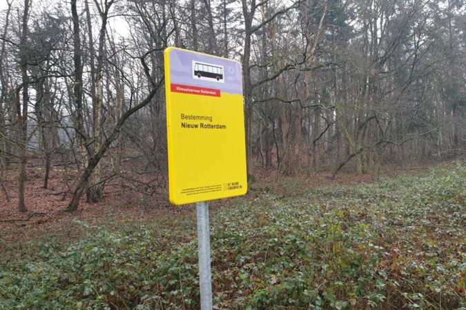 Rotterdam koopt droog stukje Limburg tegen natte voeten
