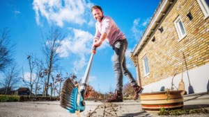 Tuinrubriek: Grijp in voordat straatjesgras je hele tuin overneemt