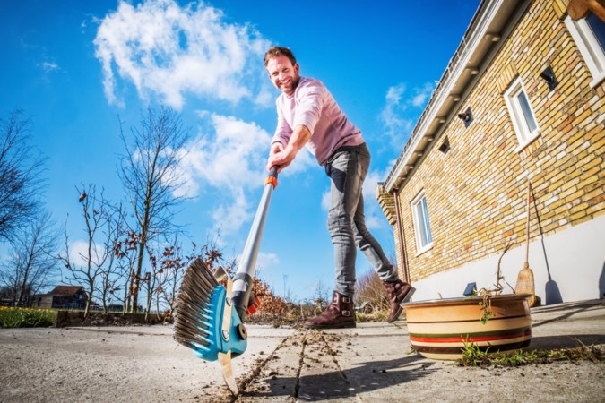 Tuinrubriek: Grijp in voordat straatjesgras je hele tuin overneemt