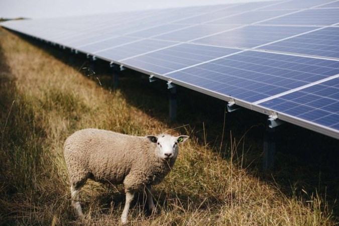 Oproep aan Voerendaalse gemeenteraad: ‘Wacht met besluit over zonne-energie’