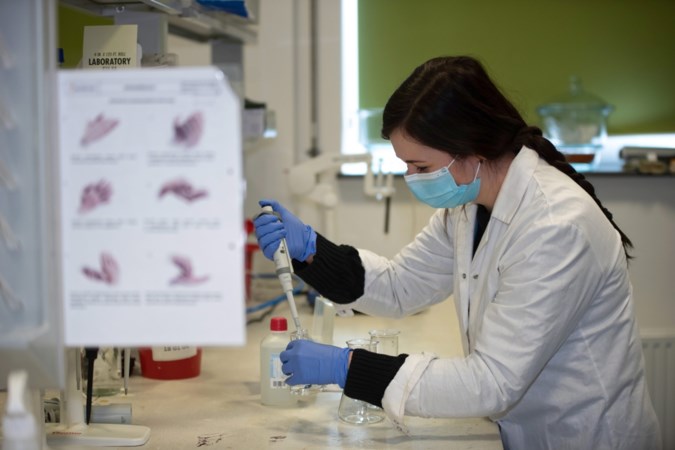 Novavax claimt dat zijn coronavaccin bij 96 procent werkt