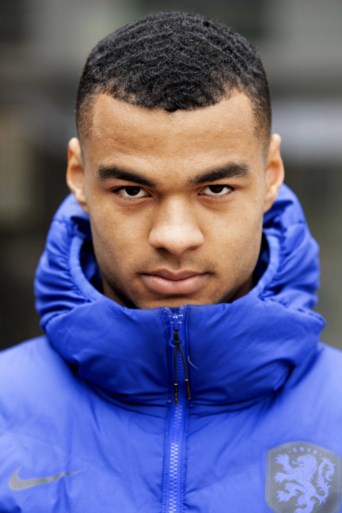 Cody Gakpo / Cody Gakpo Psv Na Afloop Bekerwedstrijd Allsportsradio