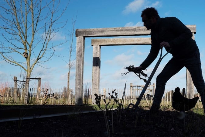 Tuinrubriek: Ook in een schaduwrijk hoekje kun je gezellig tussen het groen zitten