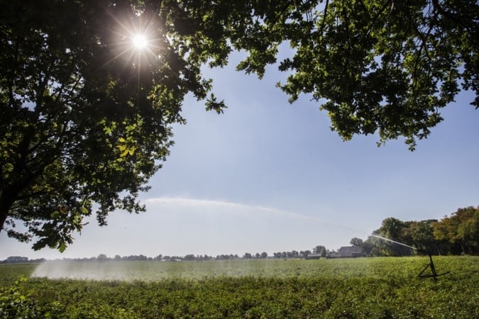 Grondwaterstand in delen Nederland ‘verre van ideaal’