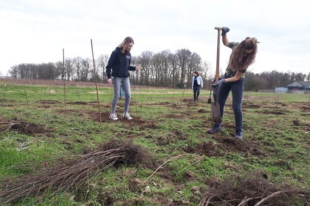 Leerling Citaverde Horst en Groengroep Sevenum planten honderden boompjes bij Grote Molenbeek