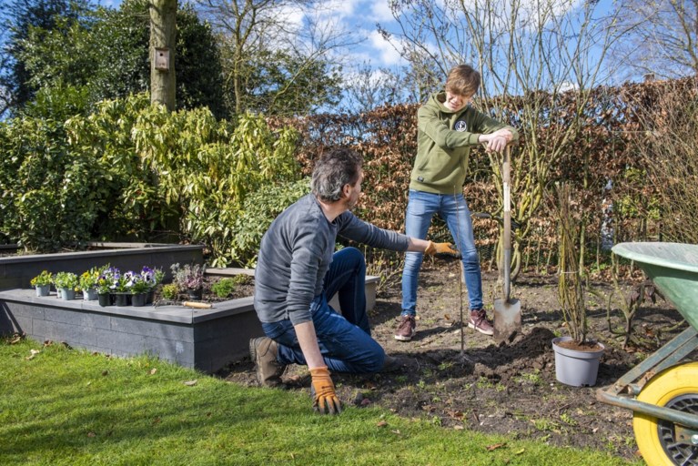Tegels eruit, groen erin!
