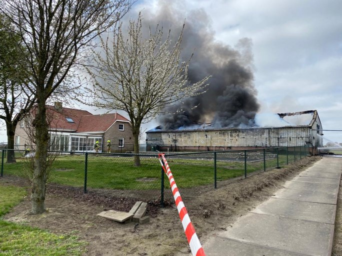 Grote brand zorgt voor flinke rookontwikkeling in Panningen