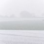 Sneeuwjachten in Limburg: plots ademen we lucht in die vorige week nog boven Noordpool hing