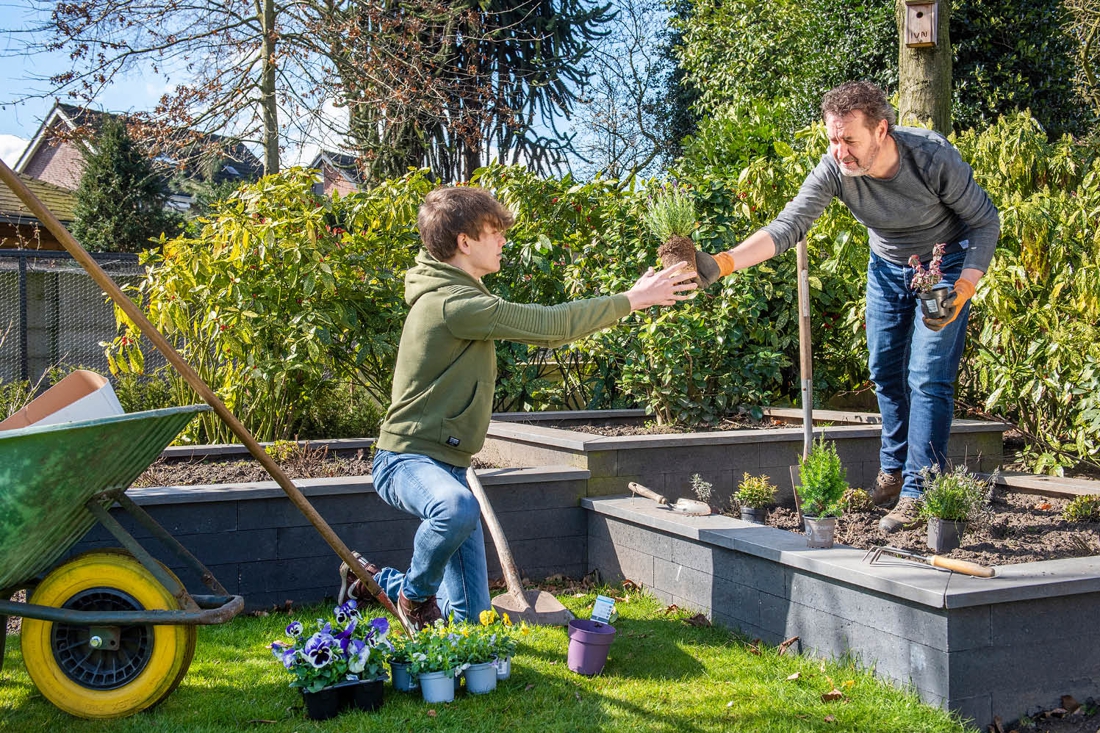 Voordelig je tuin vergroenen in de regio Maastricht en ...