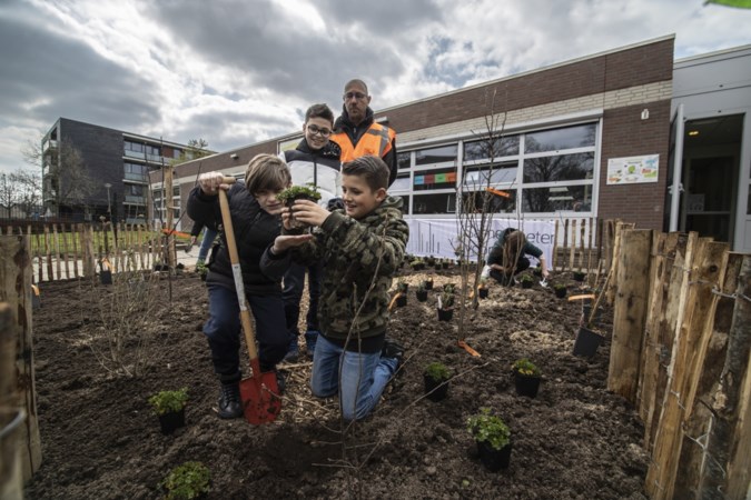 Leerlingen planten voedselbosje bij hun school in Geleen