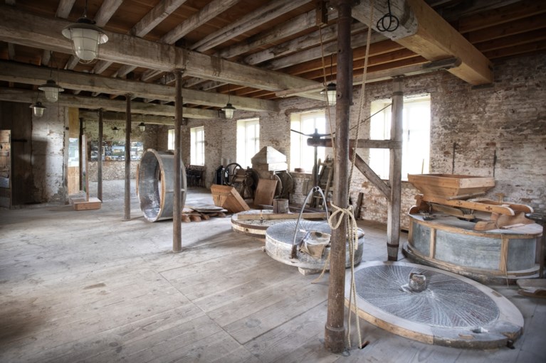 Wandelen in een watermolenlandschap