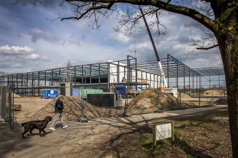 Logistiek dienstverlener LSE nu nog verdeeld over drie locaties, maar nieuw pand aan Heierkerkweg in Venlo is in aanbouw