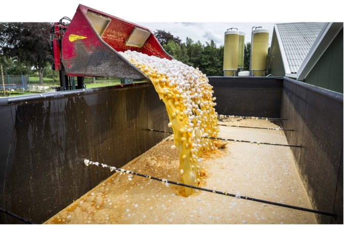 Jaar celstraf voor hoofdverdachten fipronilaffaire