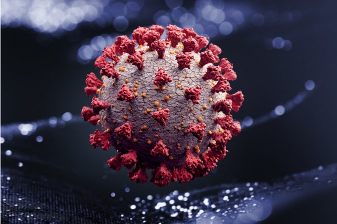 RIVM: Braziliaanse variant kan op termijn dominant worden