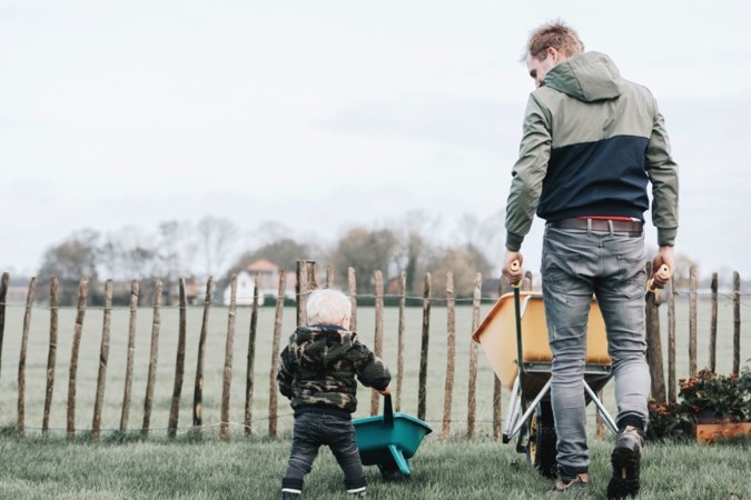 Tuinrubriek: ook als beginner kun je een mooi resultaat bereiken