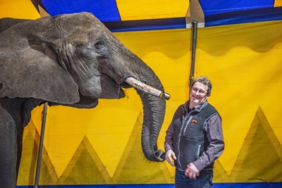 Circusolifant Buba mag blijven in Beringe, maar dierenrechtenorganisaties geven strijd niet op 