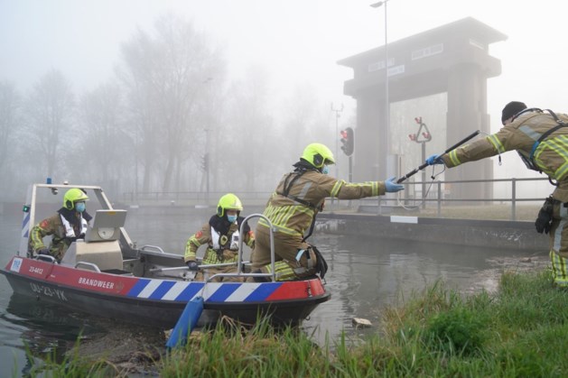 Brandweer kan reeën niet meer redden uit Zuid-Willemsvaart in Weert: dieren verdronken