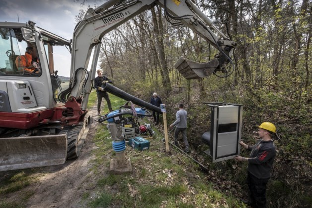 In Midden-Limburg worden er de komende tijd zo’n tweehonderd geplaatst: Met de bermstuw de droogte te lijf