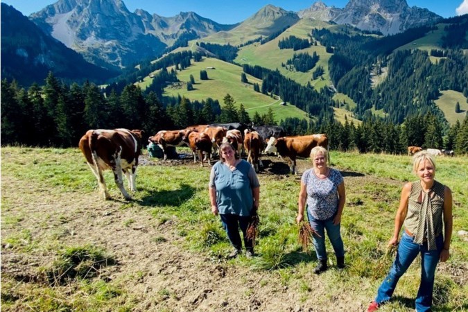In Maastricht opgegroeide boerin Vivianne (54) kreeg Yvon Jaspers in Alpen op bezoek, maar wil niet meer terug 