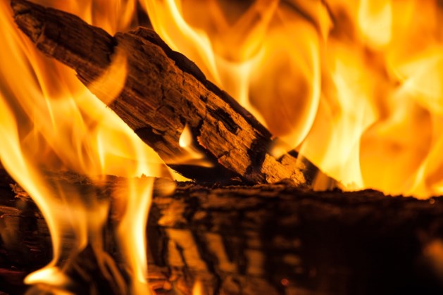 Coniferenhaag in brand gestoken in Grathem