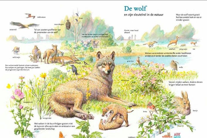 Wolvenspeurtocht in Wanssum tijdens meivakantie voor kindere... - De Limburger