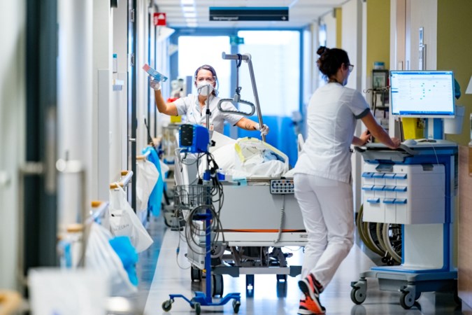 Lichte daling aantal opgenomen coronapatiënten in ziekenhuizen, 7830 nieuwe coronagevallen