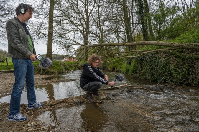 Een literaire en sonische expeditie van kleuren en klanken in Gulpen
