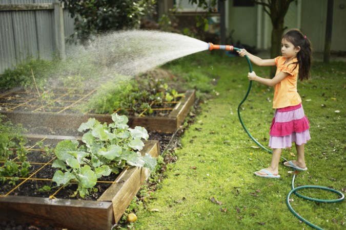 Met deze tien geboden van de moestuincoach uit Ospel verbouw jij de mooiste groente en fruit