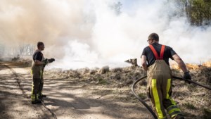Onderzoek na branden in Meinweg en Deurnese Peel: corona was een geluk bij een ongeluk