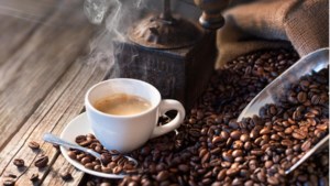 De weg kwijt tussen alle soorten koffies, koffiebonen en apparaten? Tijd voor een koffiecollege