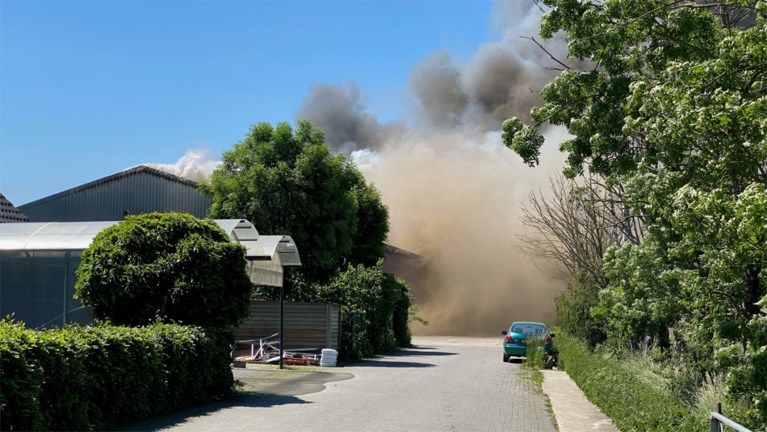 Video: Grote brand in stal met 4600 varkens in Nederweert