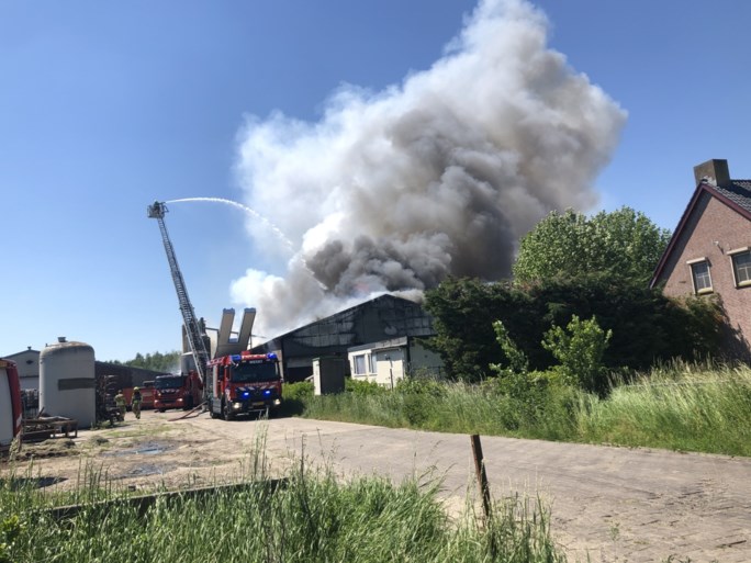 Video: Grote brand in stal met 4600 varkens in Nederweert