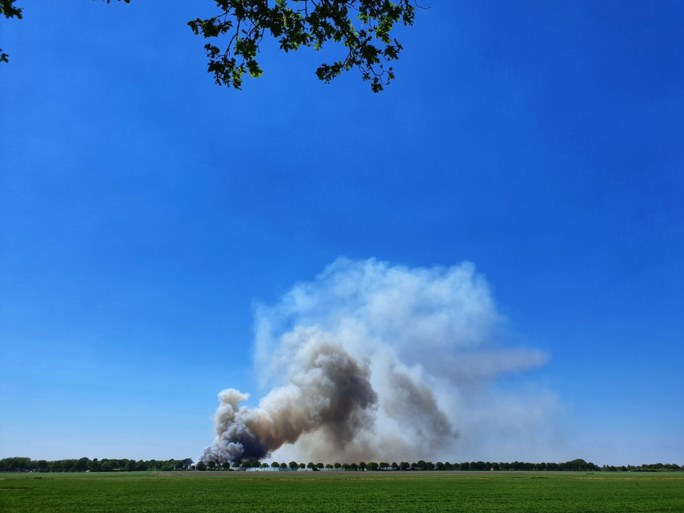 Video: Grote brand in stal met 4600 varkens in Nederweert