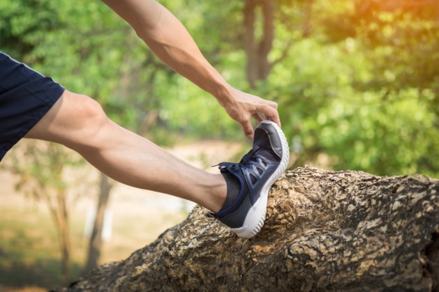 Vier afstanden tijdens trailrun Maaspark Ooijen-Wanssum - De Limburger