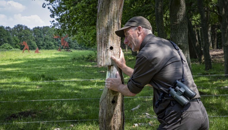 Historie spotten in Sarsven/De Banen