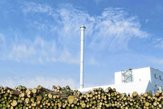 Knieval van kabinet: biomassa in de ban