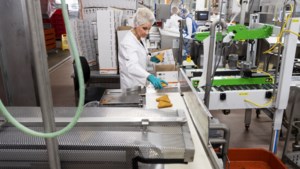 Nieuwe productielijn Mora Maastricht goed voor honderd banen