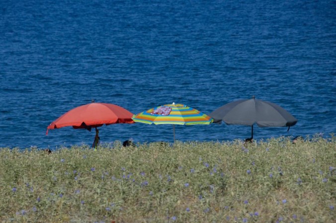 Meteorologen verwachten: ’Juli lijkt warme zonnige maand te worden’