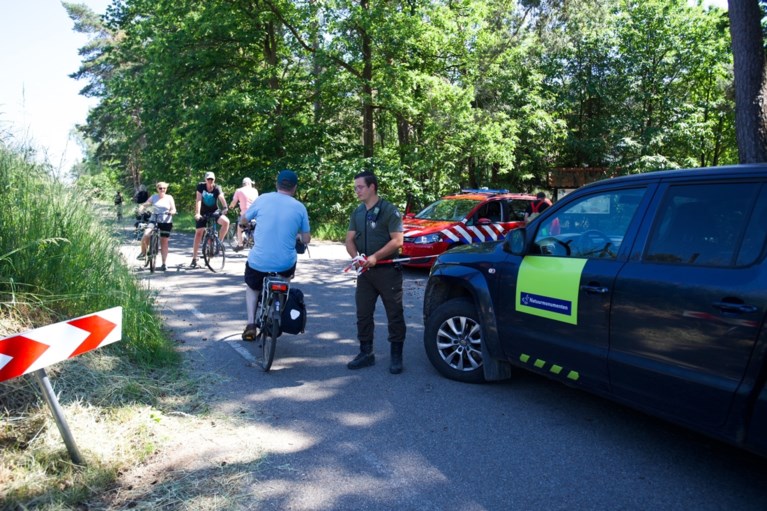 Meerdere brandhaarden op Brunssummerheide, vuur onder controle