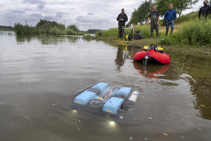 Onderzoekers jagen met onderwaterdrone op ‘killervlokreeft’ en andere indringers in Grensmaas bij Meers
