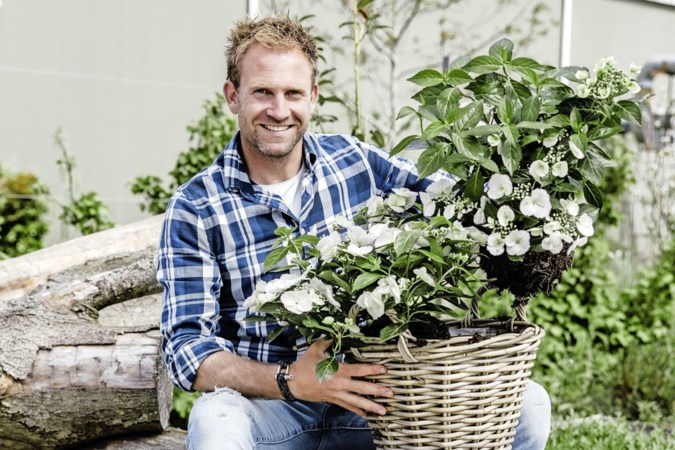 Boer Tom: In het hart van de hortensiabloem zit een klein speldenknopje